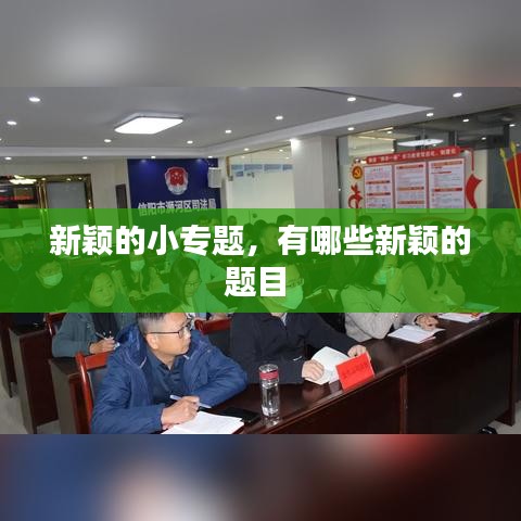 新颖的小专题，有哪些新颖的题目 
