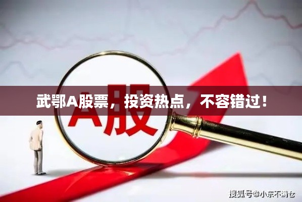 武鄂A股票，投资热点，不容错过！
