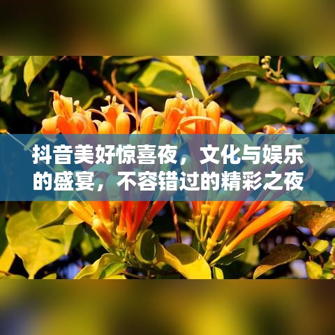 抖音美好惊喜夜，文化与娱乐的盛宴，不容错过的精彩之夜！