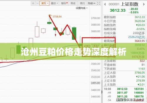 沧州豆粕价格走势深度解析