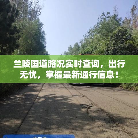 兰陵国道路况实时查询，出行无忧，掌握最新通行信息！