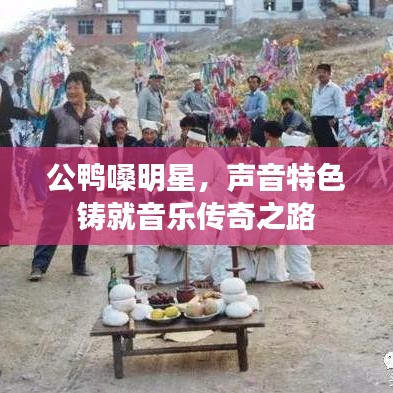 公鸭嗓明星，声音特色铸就音乐传奇之路