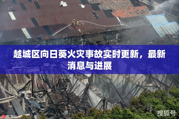 越城区向日葵火灾事故实时更新，最新消息与进展
