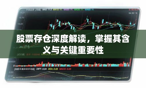 股票存仓深度解读，掌握其含义与关键重要性