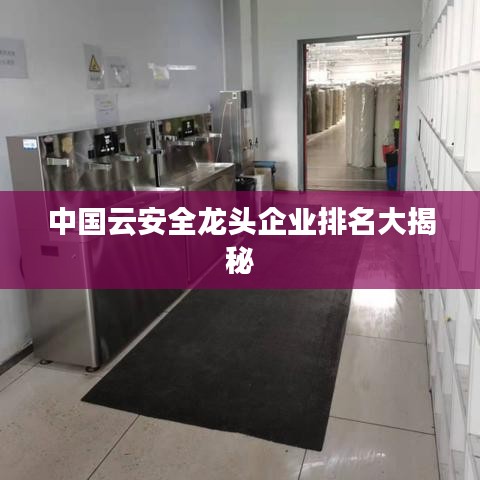 中国云安全龙头企业排名大揭秘