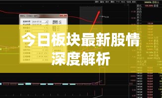 今日板块最新股情深度解析