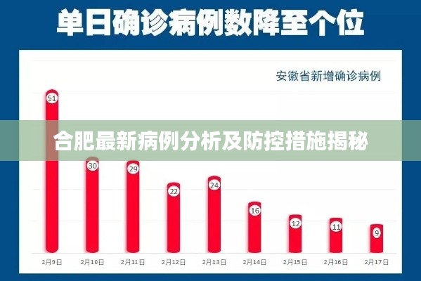合肥最新病例分析及防控措施揭秘