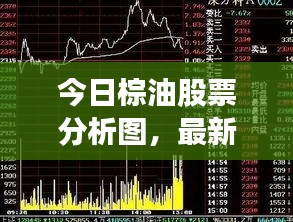 今日棕油股票分析图，最新市场走势、机遇与挑战一网打尽