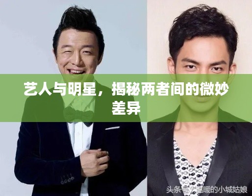 艺人与明星，揭秘两者间的微妙差异