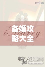 备婚攻略大全，最新指南助你打造梦幻完美婚礼