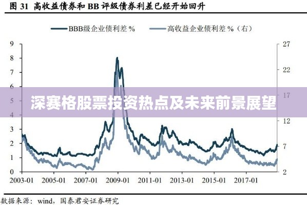 深赛格股票投资热点及未来前景展望