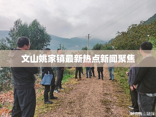 文山姚家镇最新热点新闻聚焦