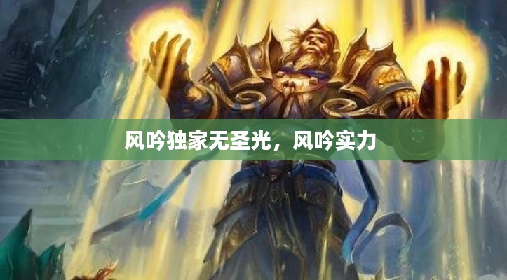 风吟独家无圣光，风吟实力 