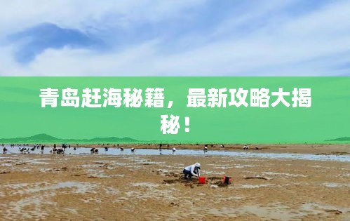 青岛赶海秘籍，最新攻略大揭秘！