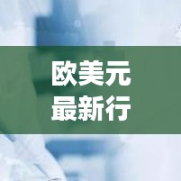 欧美元最新行情走势分析，今日市场动态速递