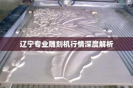 辽宁专业雕刻机行情深度解析
