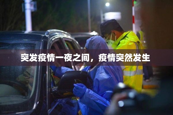 突发疫情一夜之间，疫情突然发生 