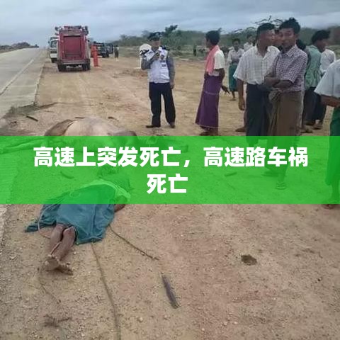 高速上突发死亡，高速路车祸死亡 