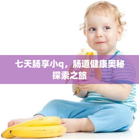 七天肠享小q，肠道健康奥秘探索之旅