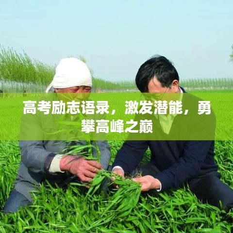 高考励志语录，激发潜能，勇攀高峰之巅