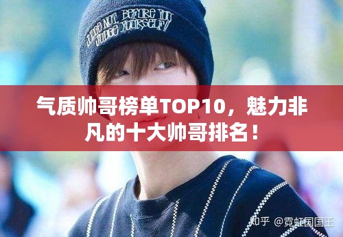 气质帅哥榜单TOP10，魅力非凡的十大帅哥排名！