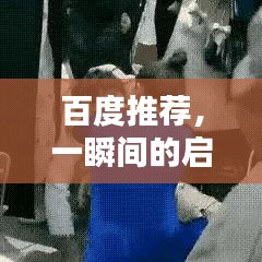 百度推荐，一瞬间的启示——深度探索与精彩发现