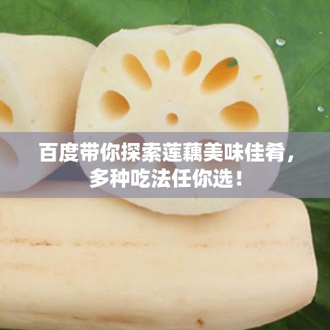 百度带你探索莲藕美味佳肴，多种吃法任你选！