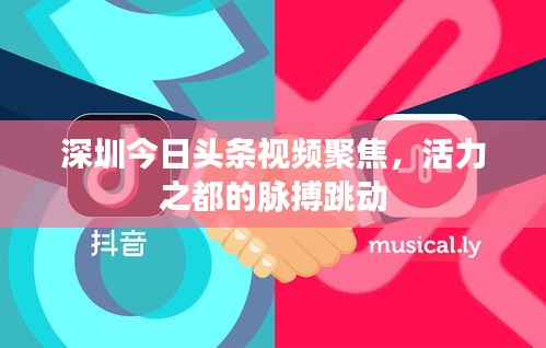 深圳今日头条视频聚焦，活力之都的脉搏跳动