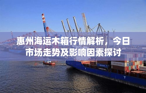 惠州海运木箱行情解析，今日市场走势及影响因素探讨
