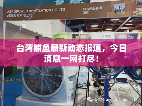 台湾捕鱼最新动态报道，今日消息一网打尽！