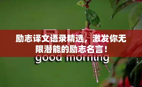 励志译文语录精选，激发你无限潜能的励志名言！