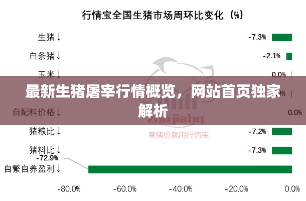最新生猪屠宰行情概览，网站首页独家解析