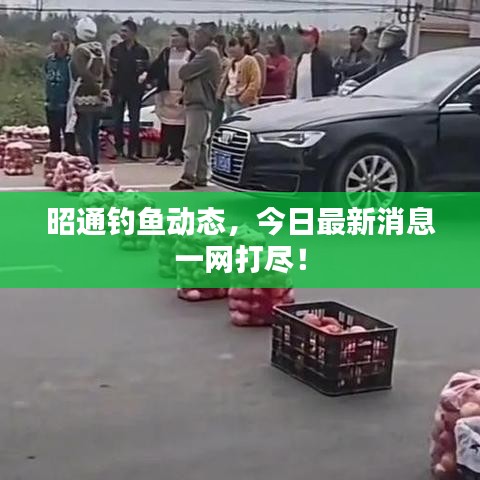 昭通钓鱼动态，今日最新消息一网打尽！