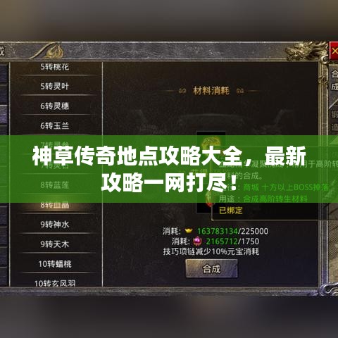 神草传奇地点攻略大全，最新攻略一网打尽！