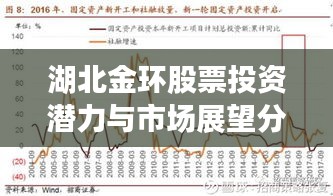 湖北金环股票投资潜力与市场展望分析
