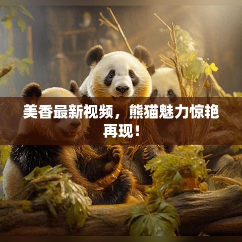 美香最新视频，熊猫魅力惊艳再现！