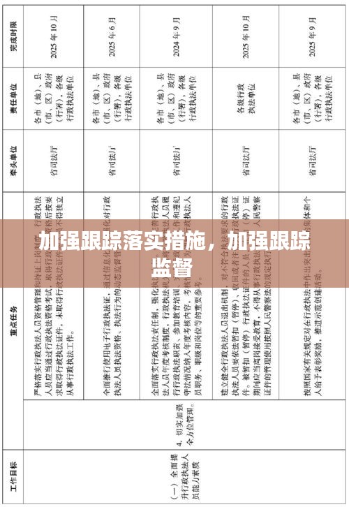 加强跟踪落实措施，加强跟踪监督 