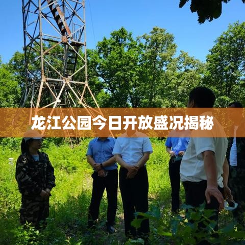 龙江公园今日开放盛况揭秘