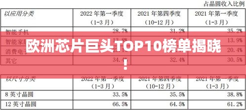 欧洲芯片巨头TOP10榜单揭晓！