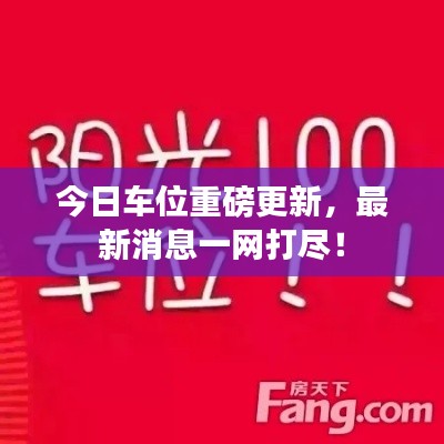 今日车位重磅更新，最新消息一网打尽！