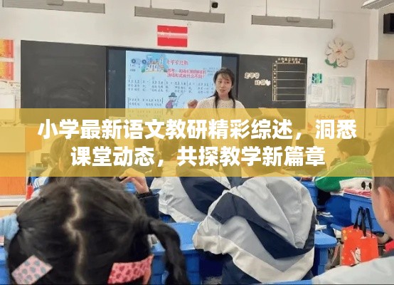 小学最新语文教研精彩综述，洞悉课堂动态，共探教学新篇章
