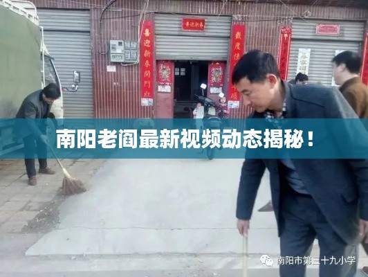 南阳老阎最新视频动态揭秘！
