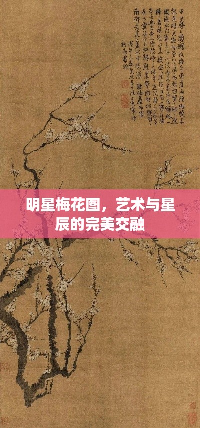 明星梅花图，艺术与星辰的完美交融