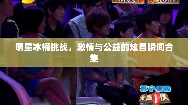 明星冰桶挑战，激情与公益的炫目瞬间合集