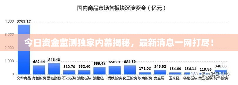 今日资金监测独家内幕揭秘，最新消息一网打尽！