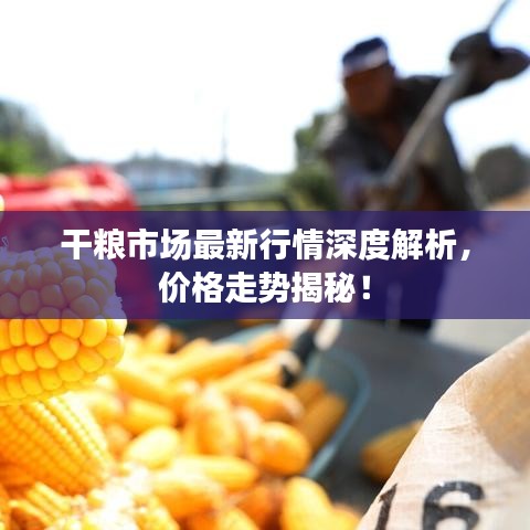 干粮市场最新行情深度解析，价格走势揭秘！