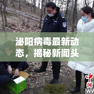 泌阳病毒最新动态，揭秘新闻头条背后的真相