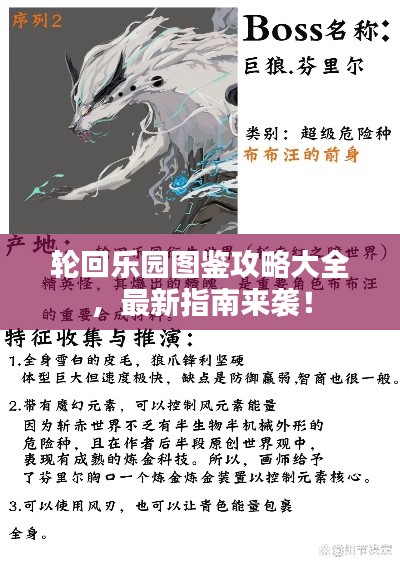 轮回乐园图鉴攻略大全，最新指南来袭！