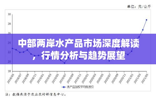中部两岸水产品市场深度解读，行情分析与趋势展望