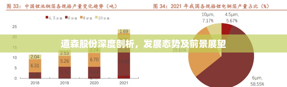 道森股份深度剖析，发展态势及前景展望